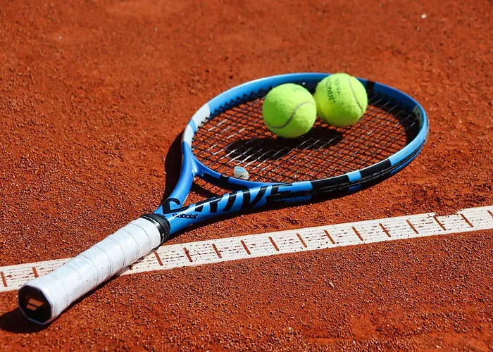 The Swing * بورغاس